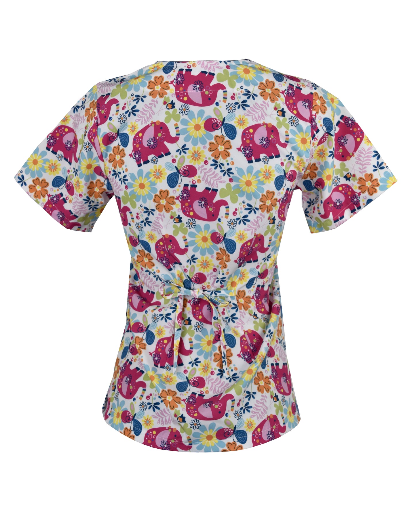 Filipina Médica Dama Tania Elefantes